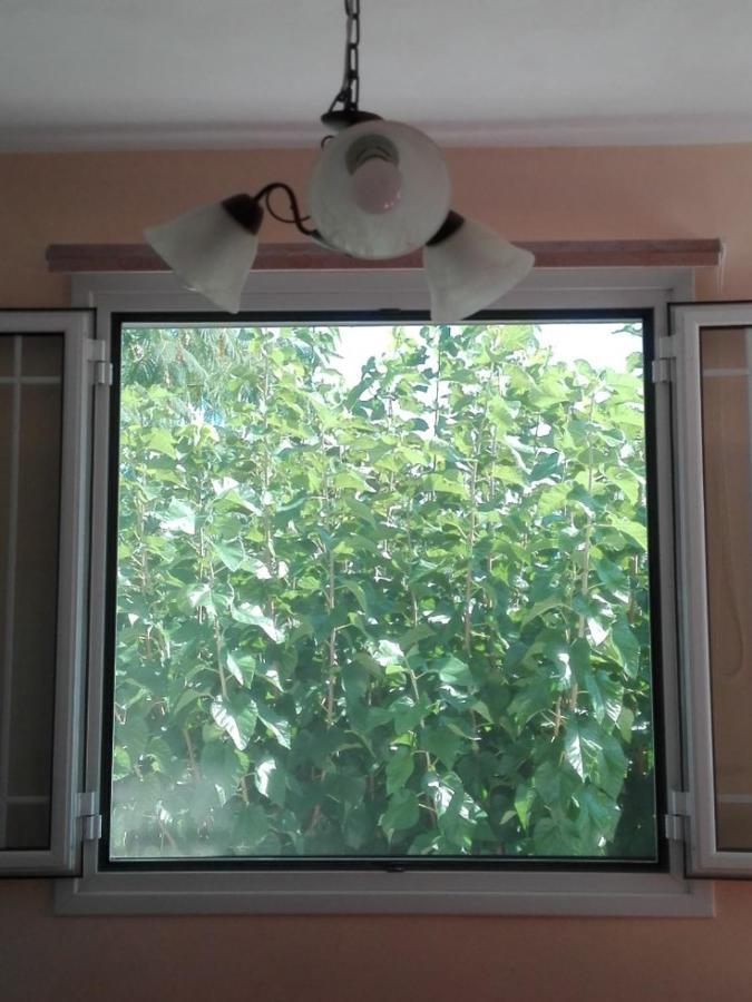 ניקיאנה Zeus And Hera Apartments מראה חיצוני תמונה