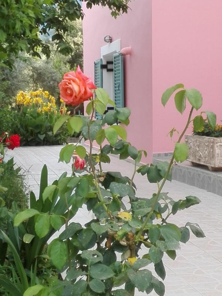 ניקיאנה Zeus And Hera Apartments מראה חיצוני תמונה